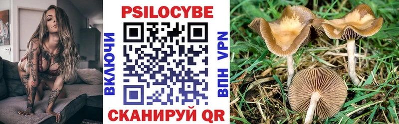 Купить где  Ишим  Галлюциногенные грибы прущие грибы 